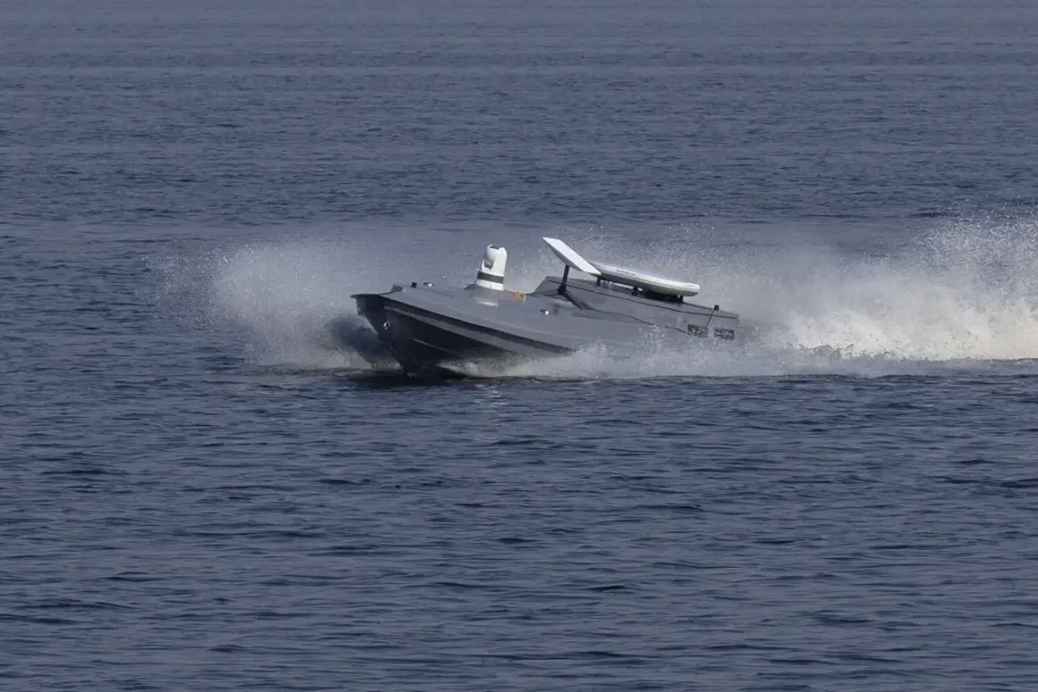 Black Sea Unmanned Boat Destruction Reignites Debate on Autonomous Naval Systems Amid Escalation