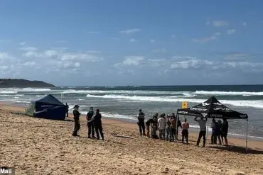Dee Why Beach in Shock After Surfer's Terrifying Encounter with Five-Metre Shark